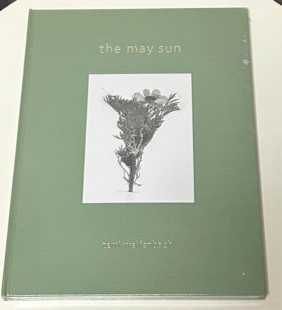 Terri Weifenbach:The May Sunテリ・ワイフェンバック tq9ORrTDP_pkldqB.jpeg