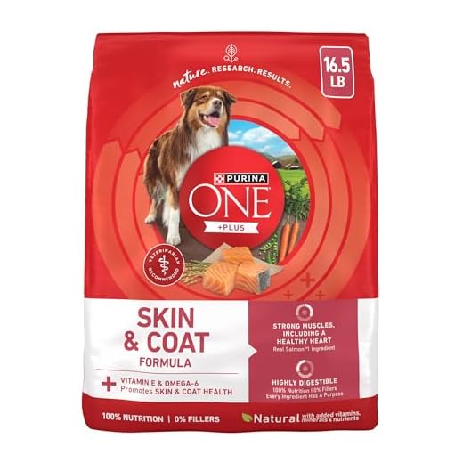 Purina ONE Natural, Sensitive Stomach Dry Dog Food, +Plus Skin & Coat Formula - 16.5 lb. Bag