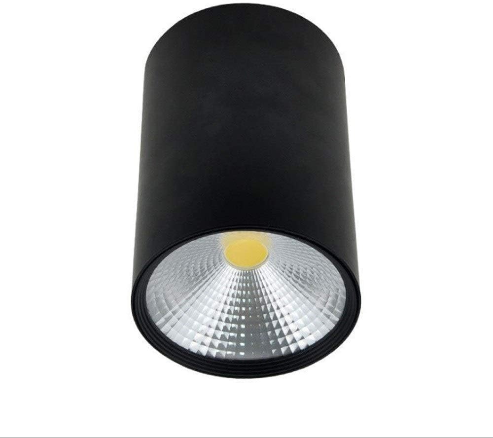 Spot LED encastré, éclairage de vitrine, comptoir à vin, éclairage cylindrique en saillie, 15 W, Finition Noire, plafonnier, lumière Blanche Chaude 6 000 K, Spot pour hôtel (lumière Neutre 12 W)