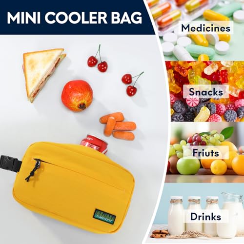 Haimont Freezable Snack Cooler