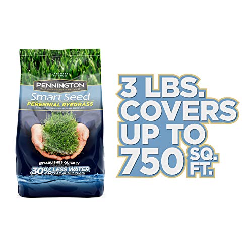 Pennington Smart Seed Perennial Rye Grass Seed, 3 Lb #TOP5