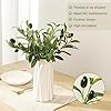 Erlandens 10pcs Faux Olive Leaves Stems 10” Tall Artificial Plants Olive Tree Branches for Small Vase Tabletop Greenery Decor for Home Office Wedding Party (Vase Not Included) #4