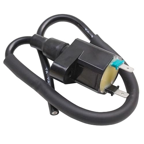 cyclingcolors Zündspule motorrad moped roller mofa kompatibel mit peugeot tkr trekker speedfight ludix buxy elyseo looxor vivacity sym orbit kymco super 9 honda x8r