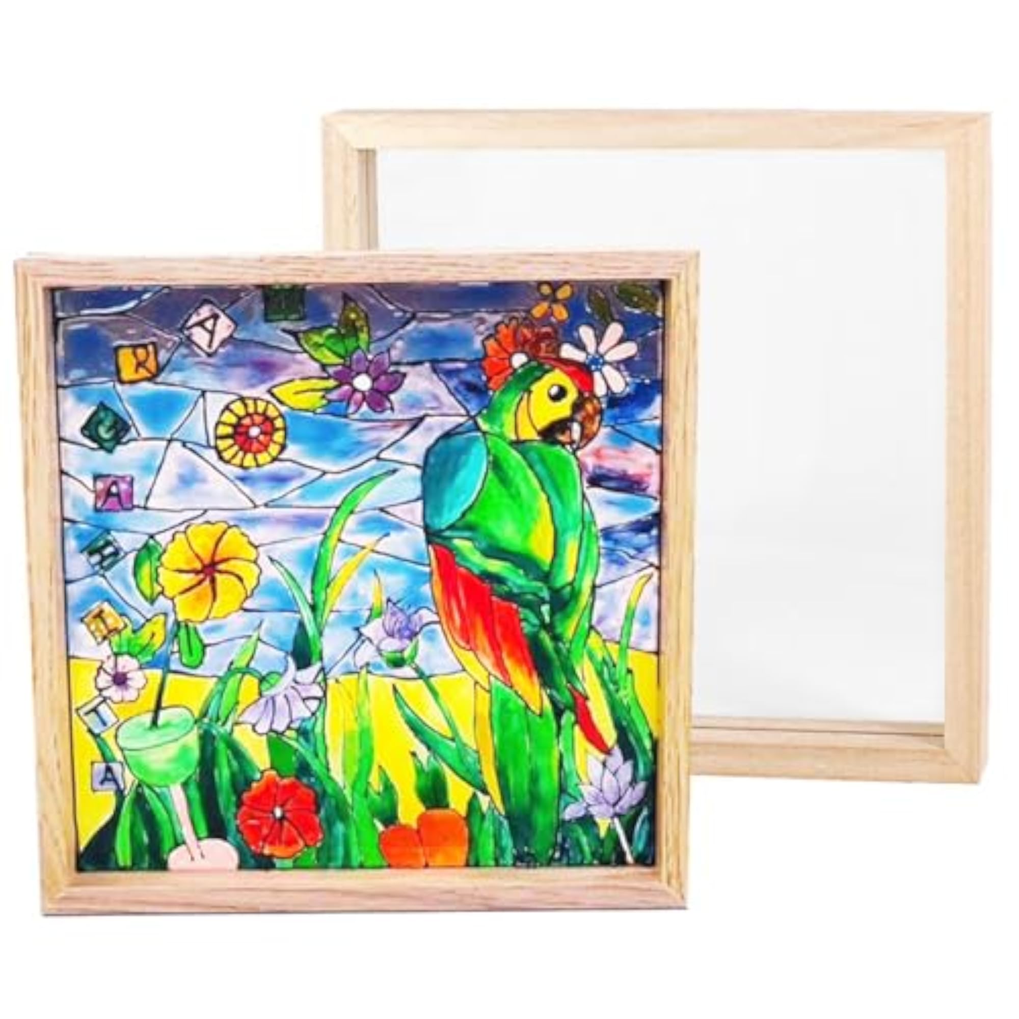 Shadow Box Picture Frame for Handicraft Crafts Display