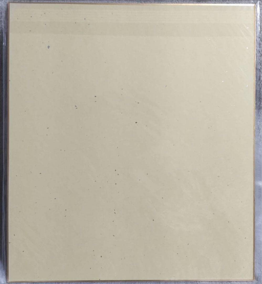 BLEACH 黒崎一護 書店 販促 サイン入り 色紙 非売品