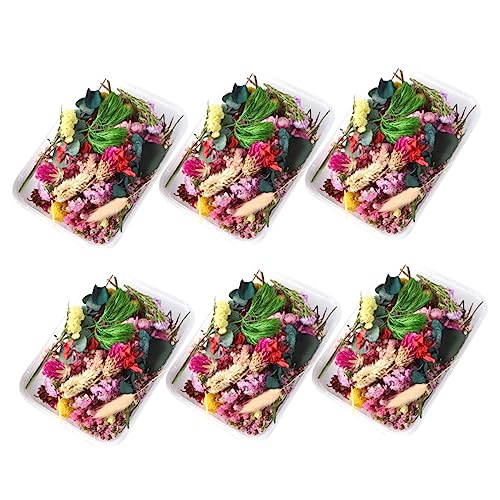 Flores secas para manualidades ORFOFE paquete variado miniatura 1
