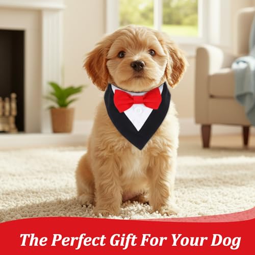 Molain Disfraz Formal para Perros Pequeños con Pajarita miniatura 7