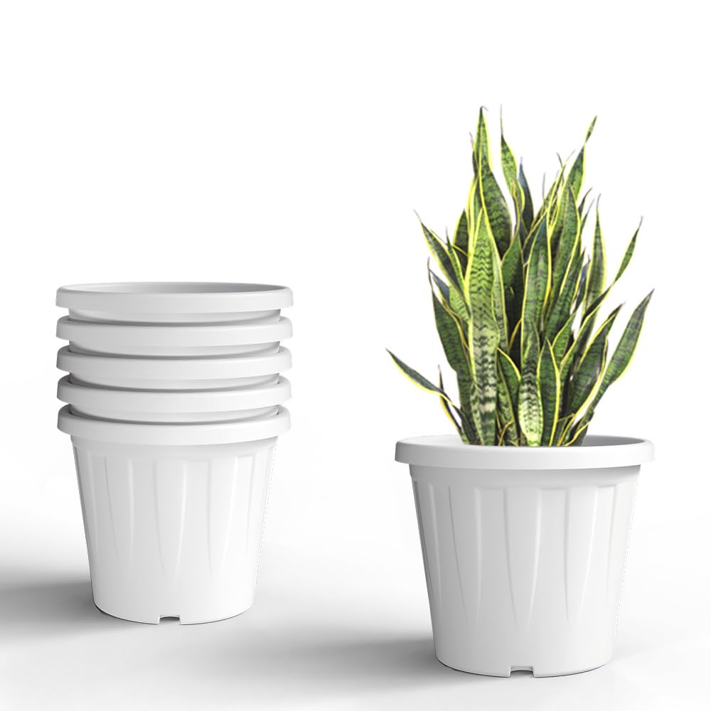 YUCCABE ITALIA 6 Pack White Nursery Planters -25