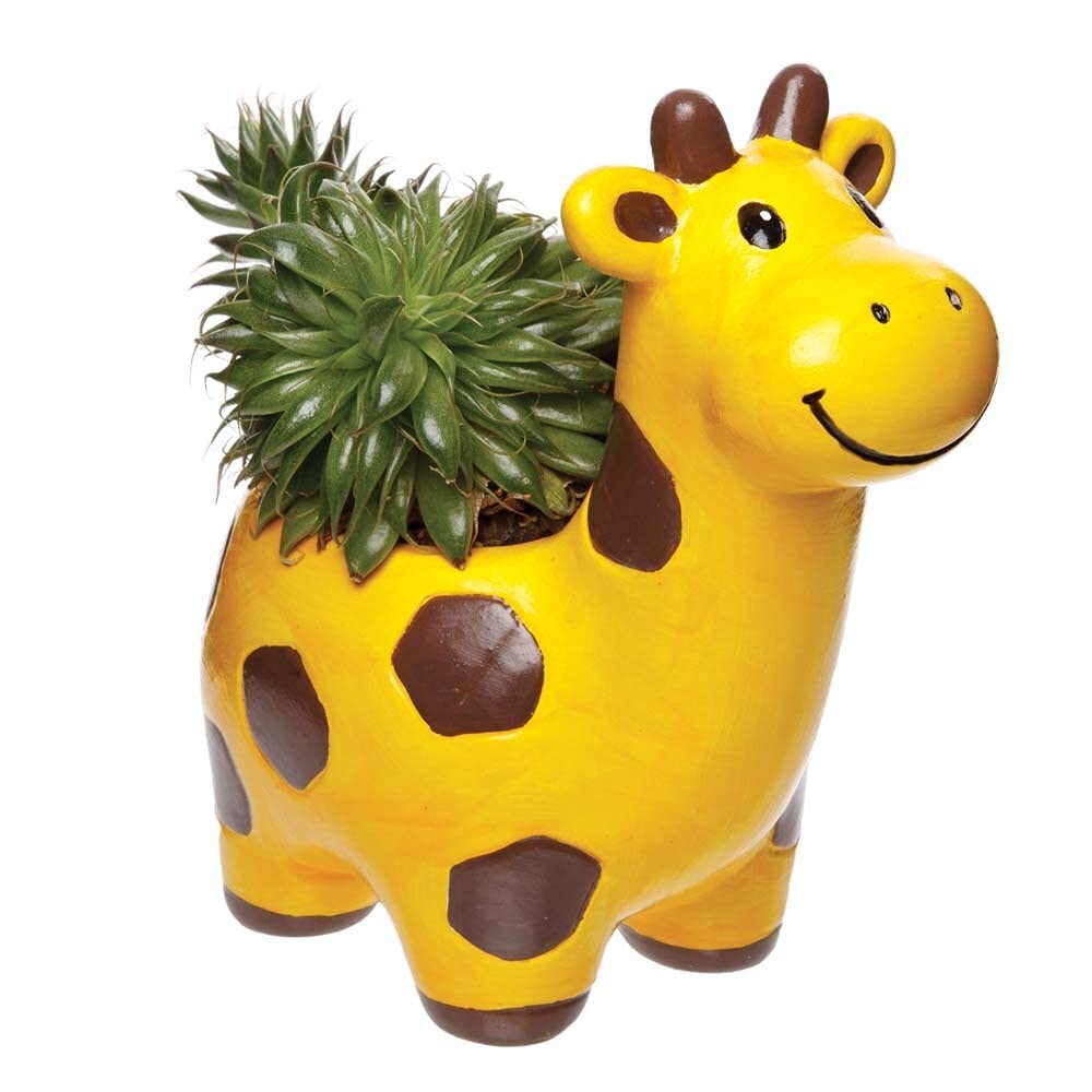 Baker Ross Vasetti In Ceramica A Forma Di Coccinella Per Bambini - Confezione Da 4, Bianchi, Per Decorazione E Pittura Fai-da-te