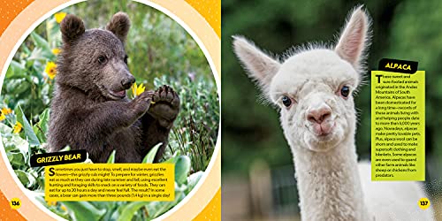 Cutest Animals on the Planet (National Geographic) - Image 4