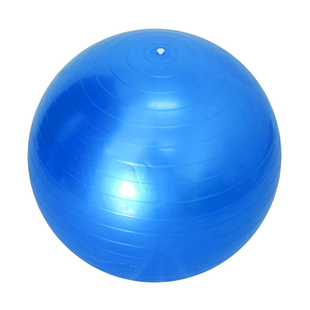 rockible Fitness Ball Gleichgewichtstrainer Pilates Gymnastikball PVC für Rückentraining Home Gym Büro für Männer Frauen