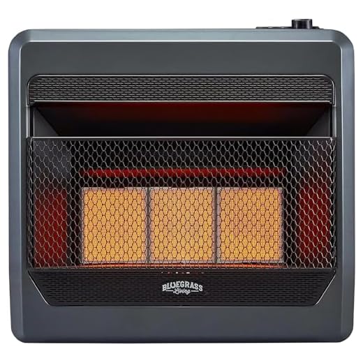 Bluegrass Living B28TPIR-BB Propane Vent Free Infrared Gas Space Heater with Blower and Base Feet-28,000, T-Stat Control, 30,000 BTU, Black