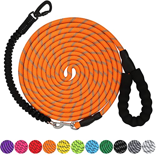 Find The Best Long Leash For Dogs Reviews & Comparison Katynel