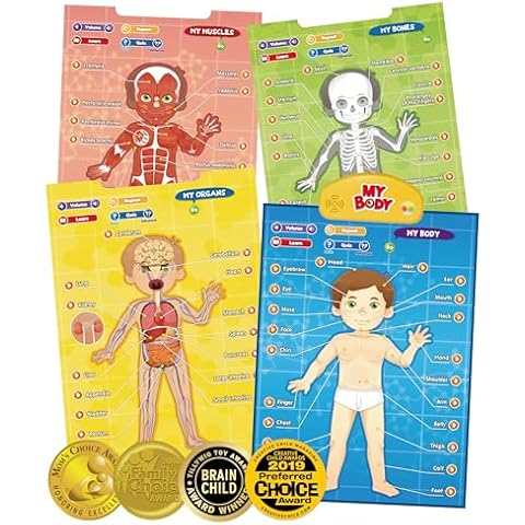BEST LEARNING i-Poster My Body Educational Toy Cover