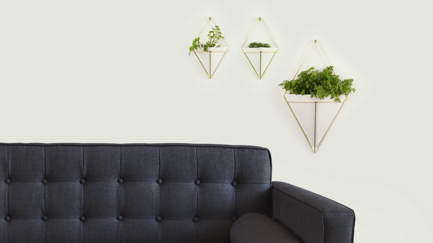 Amazon.com: Umbra Trigg Hanging Planter Vase & Geometric Wall