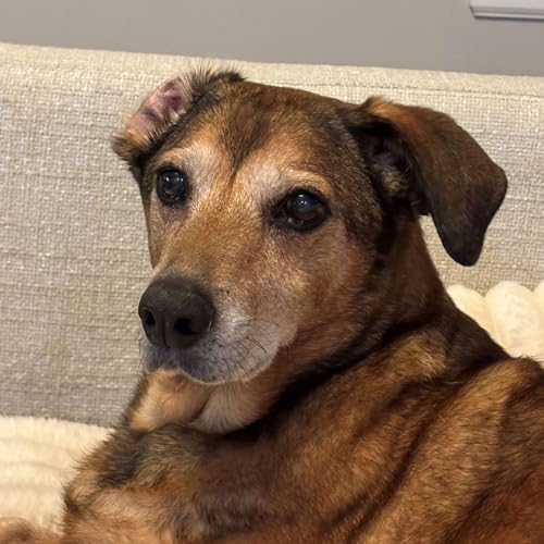 Before Breakfast Devotional for April 1, 2026