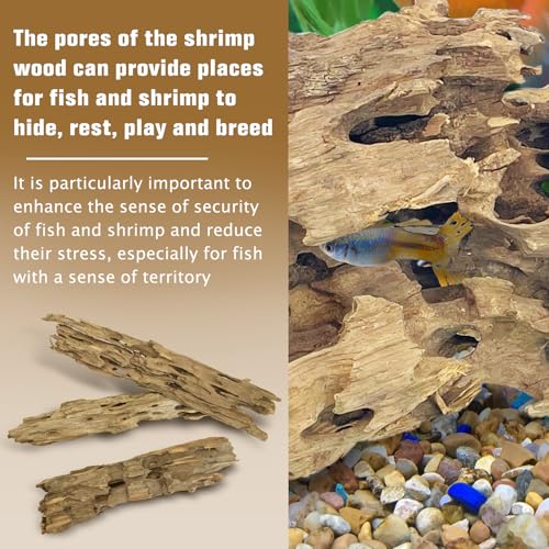Image of PINVNBY Natural Driftwood for Aquarium Large Reptile Terrarium Decor Decorations Assorted Branches Dearded Dragon Tank Accessories (Slim Style: 7.87-11.8 inches /3 Pack)