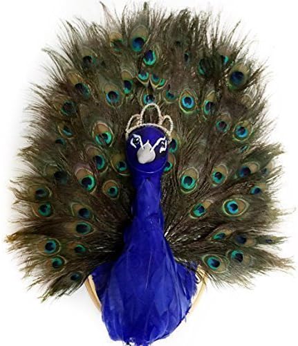 Faux Taxidermy Peacock - Animal Head Wall Decor - Peacock Gifts