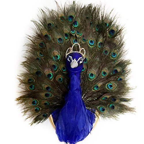 Faux Taxidermy Peacock - Animal Head Wall Decor - Peacock Gifts