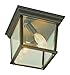 Trans Globe Lighting 4905