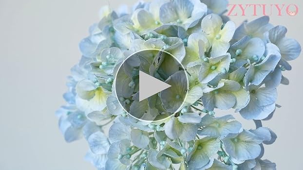 ☆hydrangea☆さま 専用です Amazon.com: ZYTUYO 20