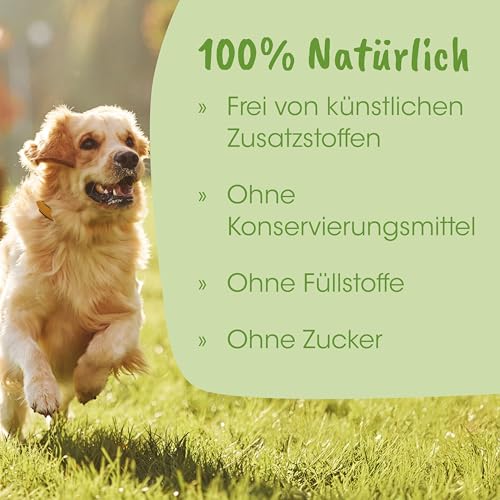 cdVet ArthroGreen Classic 70g - Nahrungsergänzung zur Unterstützung der Gelenke für Hund und für Katze durch Vitamine und Mineralien