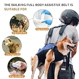 PETCUTE Hunde-Tragegeschirr,Hundegeschirr-Rucksack für große Hundes,Ganzkörpergeschirr mit Griff,Verstellbarer Hunderucksack Für Alte, Gelenkverletzungen, Arthritis-Hunde,Passend Für 7.5 Bis 15 Kg