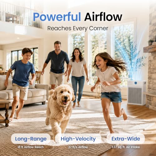 Air Purifier Large Room DROPS TO - image 3