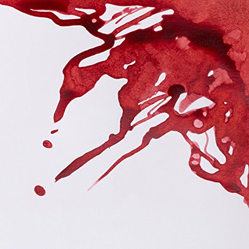 Image of Winsor & Newton Drawing Ink 14 ML - Brick Red (040), Fast Drying, Transparent, Water-Resistant & Intermixable Inks, Ideal for Brush, Dip Pen or Air Brush - More Colours Available