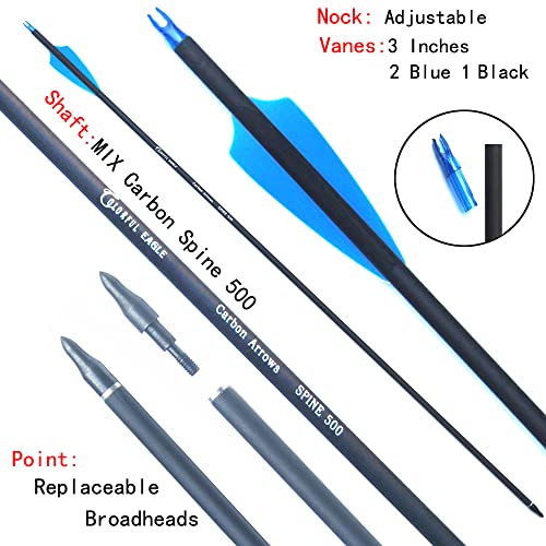 Colorful Eagle Archery Carbon Arrows 28Inch 30Inch 31'' Targeting 500 Spine With Removable Tips For Recurve Bow Compound Longbow Hunting Shooting Practice (6/12Pcs) (6 Pcs 28 Inch), 30 31Inch #TOP2