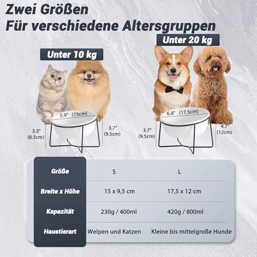 Hundenapf Keramik - Futternapf Hund Katzennapf - Futterstation Hund Katzen Erhöht mit Ständer - Fressnapf Wasser Futter Napf für Große Katzen und Mittelgroße Hunde - 850ml