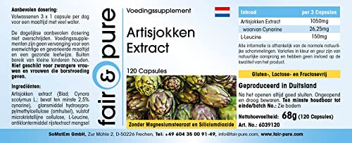 Artisjok capsules - extract gestandaardiseerd op 2,5% cynarine - vegan - natuurlijk - zonder magnesiumstearaat - 120… - Image 8