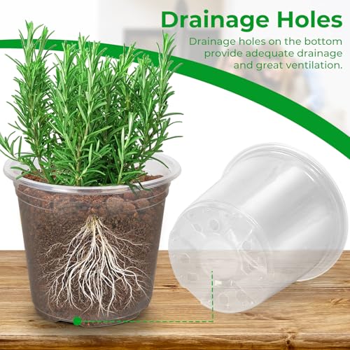 Fuijol 50 Pack 3/4/5/6/7 Inch Clear Plastic Nursery Pots For Succulents thumb #1