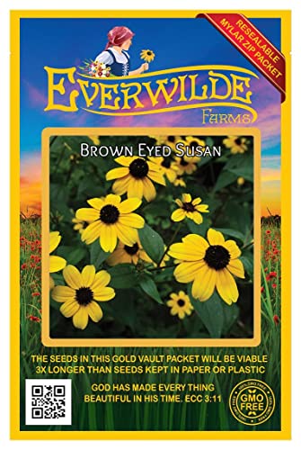 Everwilde Farms - 2000 Brown-Eyed Susan Native Wildflower Seeds - Gold Vault Jumbo Seed Packet #TOP11