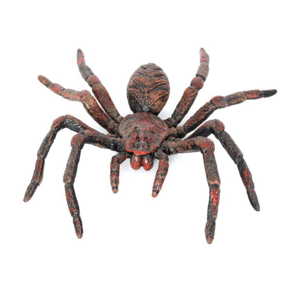 Monwssoe Halloween Decor, Tarantula Spider Toys Simulation Spider Model Lifelike Vibration Tarantula Halloween Decoration Props