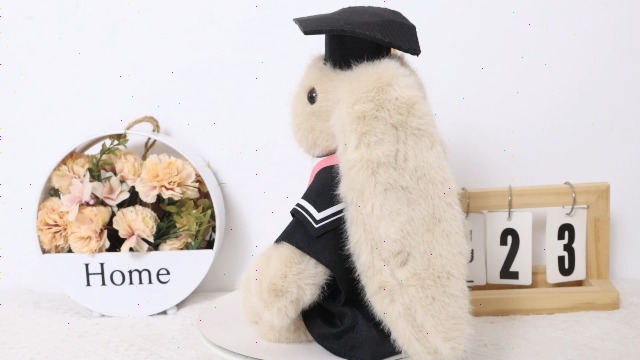 Amazon.com: UNIMV Graduation 2026 Capybara Plush Toy, 9 Inch