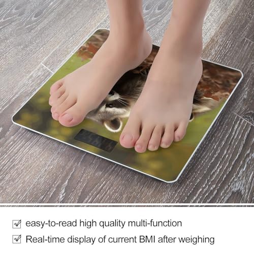 Báscula digital para baño Raccoon Smart Body Weight miniatura 5