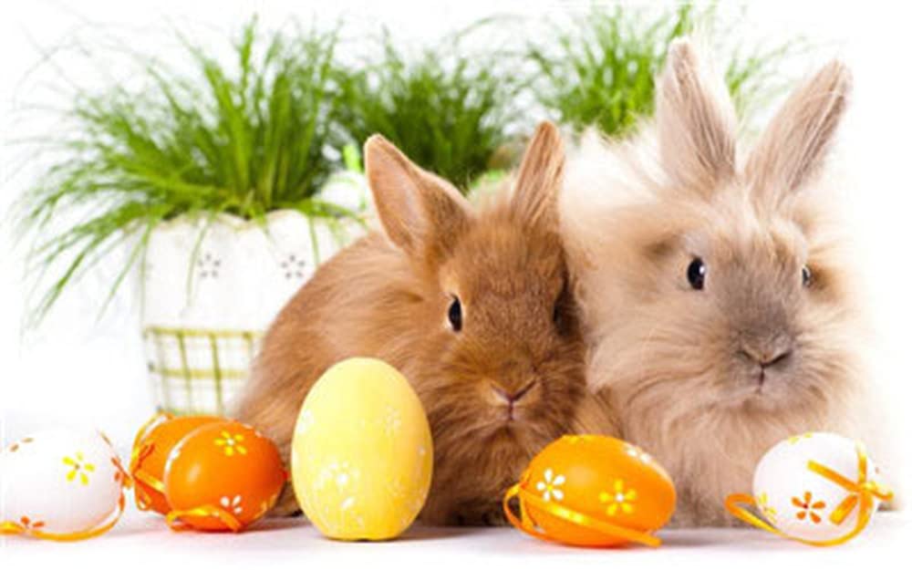 Pracht Creatives Hobby Diamond Painting Set with Easter Bunny Design and Accessories, Size Approx. 44 x 33 cm, DIY Set for Painting with Sparkling Stones for Children aged 5 Years and Above