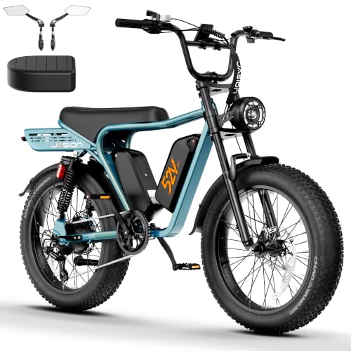 Jasion RetroVolt Max Dual Battery E-Bike