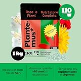 Zoom IMG-1 plantemus concime per rose e Zoom IMG-1 plantemus concime per rose e