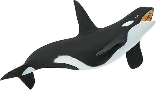 Miniatura 4 de Safari Ltd. Figura de ballena asesina (Orca) – Figura detallada de modelo de plástico de 7 pulgadas – Divertido juguete educativo para niños, niñas