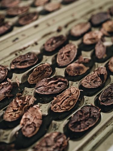 koawach Bio Backkakao Kakaopulver versch. Größen. Ohne Koffeinzusatz, vegan, fairtrade. Ohne Zuckerzusatz & Aromen. Perfekt zum Backen, Trinkschokolade. Wiederverschließbare Verpackung (500g)