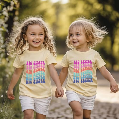 Image of Big Sister Announcement T Shirt Toddler Girls Promoted to Big Sister Tees Outfits 1-7 Years