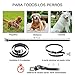 Collar de adiestramiento para Perros con Control a Distancia 300 Metros