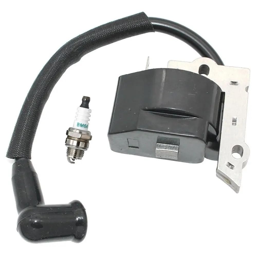 Compatible con determinados Modelos, incluidos XT125K X T125T WT3100 BC30B 176 196 PP111 Equipo de energía Exterior
