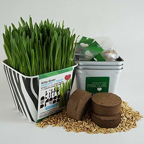 Kitty Grass Triple Kit (3 Harvests) (Blk and White, Zebra)