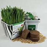 Kitty Grass Triple Kit (3 Harvests) (Blk and White, Zebra)