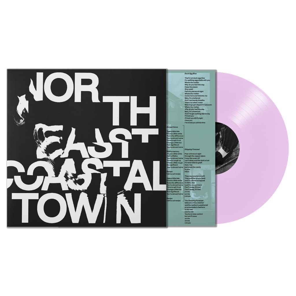 North East Coastal Town [VINYL]