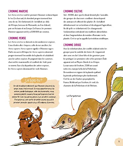 La préhistoire