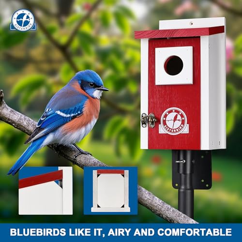 Bird-Houses-for-Outside-Claret-Red-Bird-House-Bluebird-Houses-for-Outside-Garden-Decoration-Birdhouses-for-Outdoors-Bluebird-Finch-Swallow-Wren-Chickadee Bird Houses for Outside Claret Red Bird House Bluebird Houses for Outside Garden Decoration Birdhouses for Outdoors Bluebird Finch Swallow Wren Chickadee